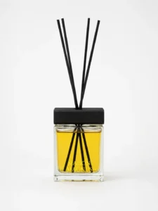 diffuseur éternel pour homme parfum d'intérieur haut de gamme Maison Magnus